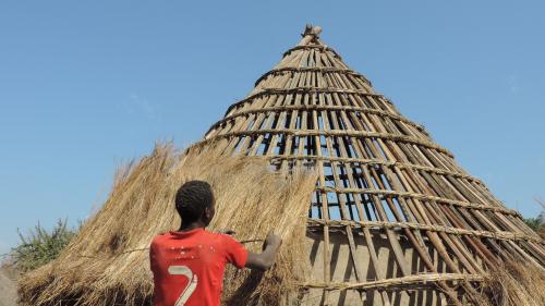 Repairing the hut´s roof_Upper Guinea