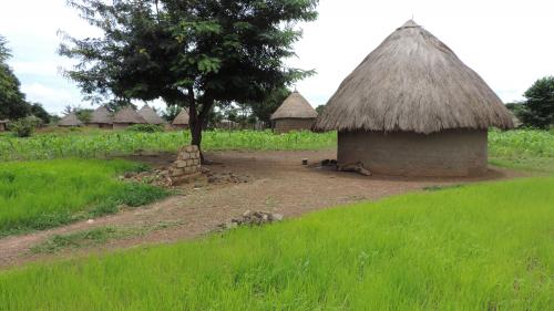 Rainy season Upper Guinea